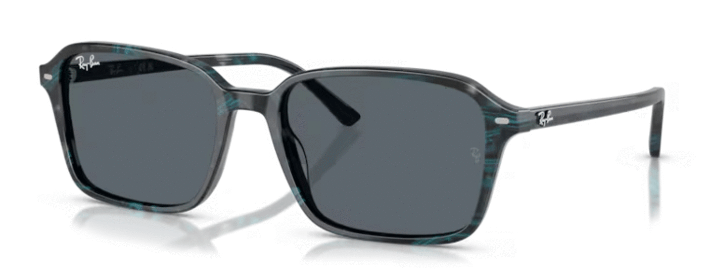 RAY-BAN RB2231 1417R5