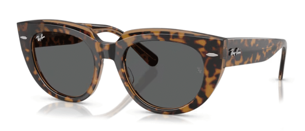 RAY-BAN RB2286 1292B1