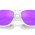 Oakley Frogskins™ OO9013 9013H7