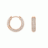 Daniel Wellington Pavé Crystal Earrings Rose Gold DW00400627