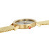 MONDAINE Classic Golden stainless steel 40 mm A660.30360.80SBM